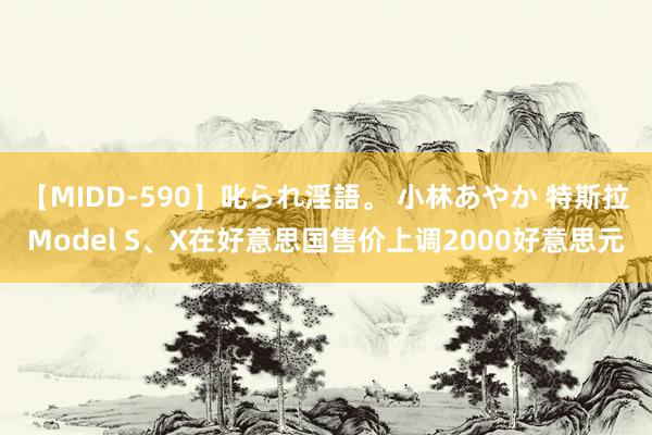 【MIDD-590】叱られ淫語。 小林あやか 特斯拉Model S、X在好意思国售价上调2000好意思元