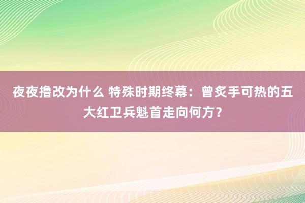 夜夜撸改为什么 特殊时期终幕：曾炙手可热的五大红卫兵魁首走向何方？