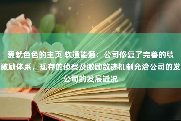 爱就色色的主页 软通能源：公司修复了完善的绩效评价激励体系，现存的侦察及激励敛迹机制允洽公司的发展近况