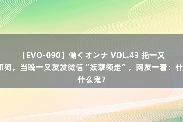 【EVO-090】働くオンナ VOL.43 托一又友祥和狗，当晚一又友发微信“妖孽领走”，网友一看：什么鬼？