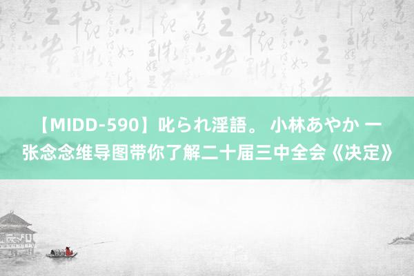 【MIDD-590】叱られ淫語。 小林あやか 一张念念维导图带你了解二十届三中全会《决定》