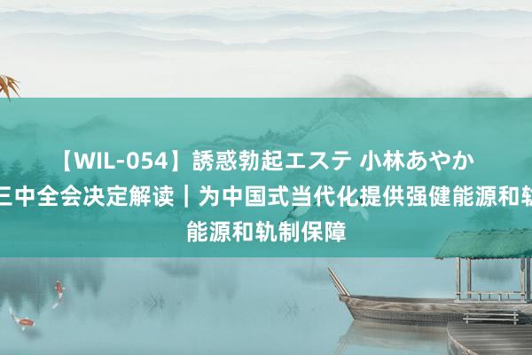 【WIL-054】誘惑勃起エステ 小林あやか 二十届三中全会决定解读｜为中国式当代化提供强健能源和轨制保障