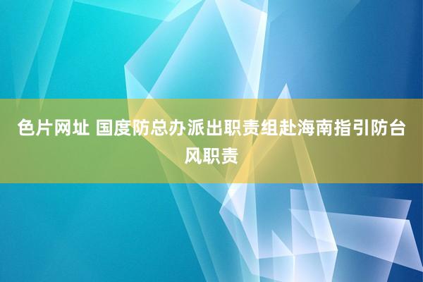 色片网址 国度防总办派出职责组赴海南指引防台风职责