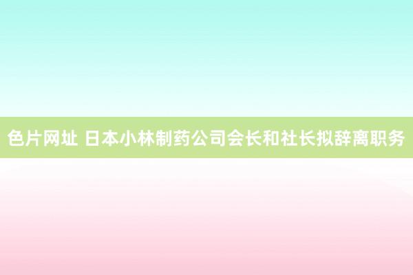 色片网址 日本小林制药公司会长和社长拟辞离职务