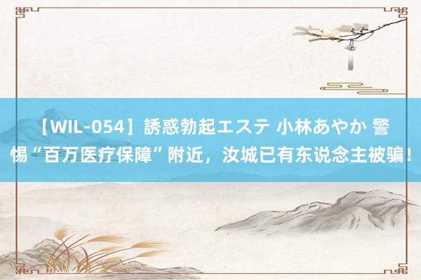 【WIL-054】誘惑勃起エステ 小林あやか 警惕“百万医疗保障”附近，汝城已有东说念主被骗！