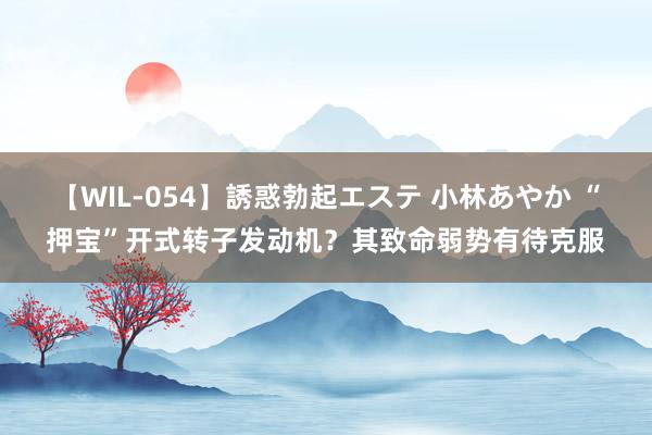 【WIL-054】誘惑勃起エステ 小林あやか “押宝”开式转子发动机？其致命弱势有待克服