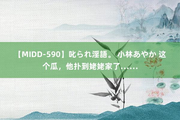 【MIDD-590】叱られ淫語。 小林あやか 这个瓜，他扑到姥姥家了……