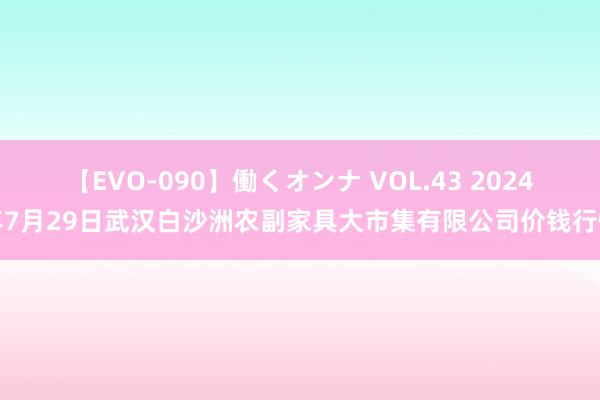 【EVO-090】働くオンナ VOL.43 2024年7月29日武汉白沙洲农副家具大市集有限公司价钱行情