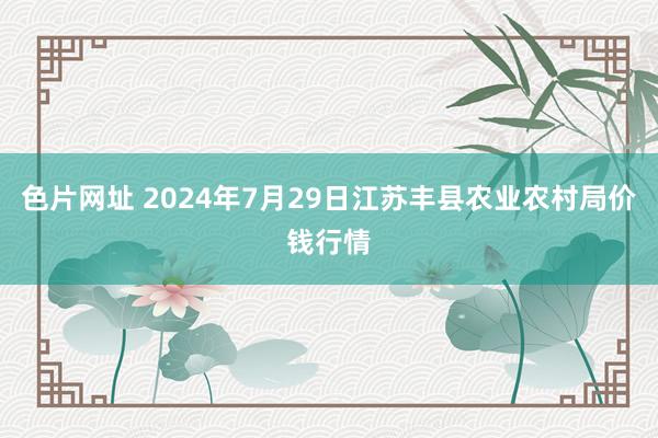 色片网址 2024年7月29日江苏丰县农业农村局价钱行情