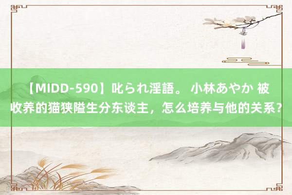 【MIDD-590】叱られ淫語。 小林あやか 被收养的猫狭隘生分东谈主，怎么培养与他的关系？