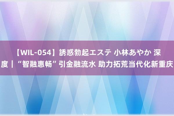 【WIL-054】誘惑勃起エステ 小林あやか 深度｜“智融惠畅”引金融流水 助力拓荒当代化新重庆