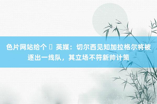 色片网站给个 ❌英媒：切尔西见知加拉格尔将被逐出一线队，其立场不符新帅计策