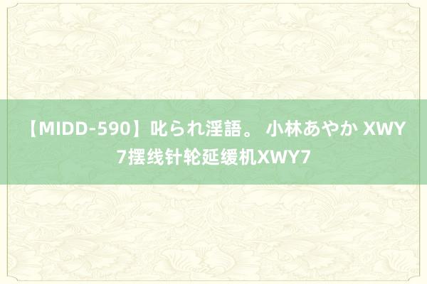 【MIDD-590】叱られ淫語。 小林あやか XWY7摆线针轮延缓机XWY7