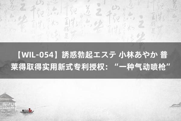 【WIL-054】誘惑勃起エステ 小林あやか 普莱得取得实用新式专利授权：“一种气动喷枪”