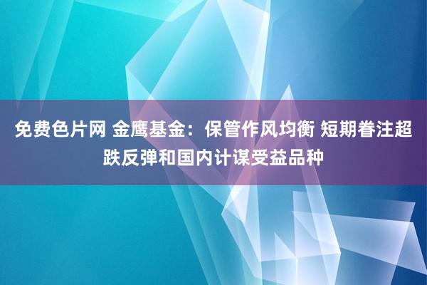 免费色片网 金鹰基金：保管作风均衡 短期眷注超跌反弹和国内计谋受益品种