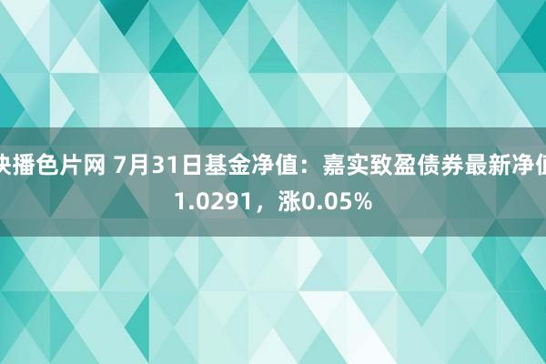 快播色片网 7月31日基金净值：嘉实致盈债券最新净值1.0291，涨0.05%