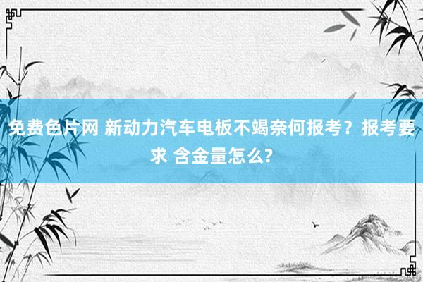 免费色片网 新动力汽车电板不竭奈何报考？报考要求 含金量怎么?