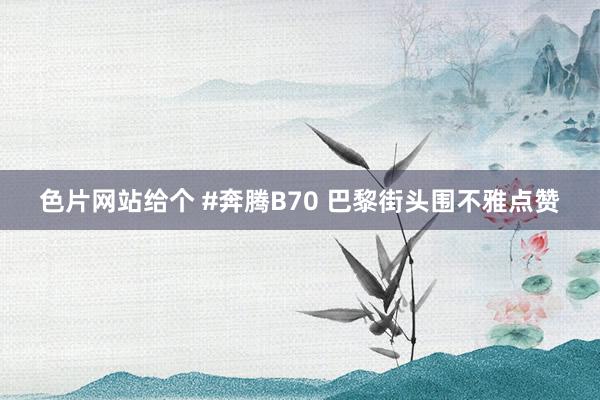 色片网站给个 #奔腾B70 巴黎街头围不雅点赞