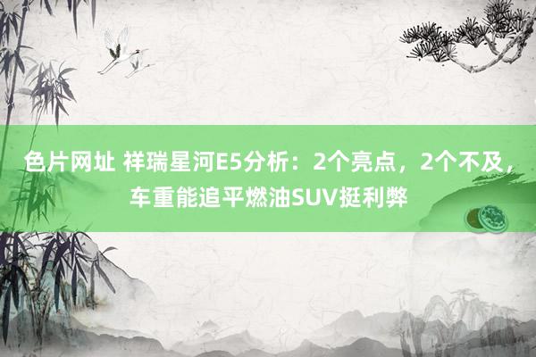 色片网址 祥瑞星河E5分析：2个亮点，2个不及，车重能追平燃油SUV挺利弊