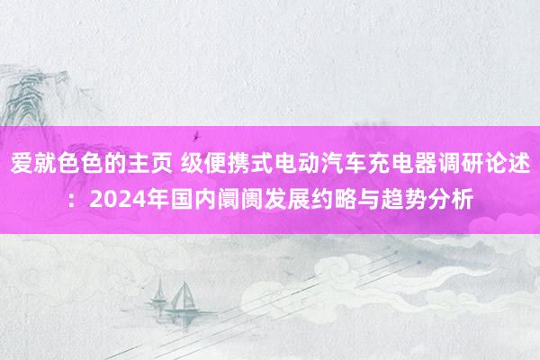 爱就色色的主页 级便携式电动汽车充电器调研论述：2024年国内阛阓发展约略与趋势分析