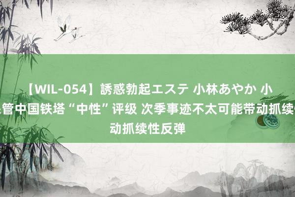 【WIL-054】誘惑勃起エステ 小林あやか 小摩：保管中国铁塔“中性”评级 次季事迹不太可能带动抓续性反弹