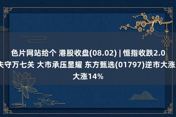 色片网站给个 港股收盘(08.02) | 恒指收跌2.08%失守万七关 大市承压显耀 东方甄选(01797)逆市大涨14%