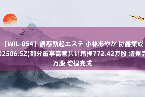 【WIL-054】誘惑勃起エステ 小林あやか 协鑫集成(002506.SZ)部分董事高管共计增捏772.42万股 增捏完成