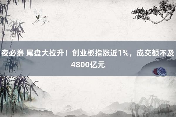 夜必撸 尾盘大拉升！创业板指涨近1%，成交额不及4800亿元