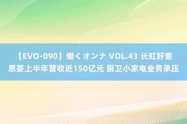 【EVO-090】働くオンナ VOL.43 长虹好意思菱上半年营收近150亿元 厨卫小家电业务承压