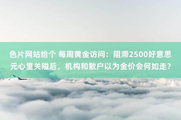 色片网站给个 每周黄金访问：阻滞2500好意思元心里关隘后，机构和散户以为金价会何如走？