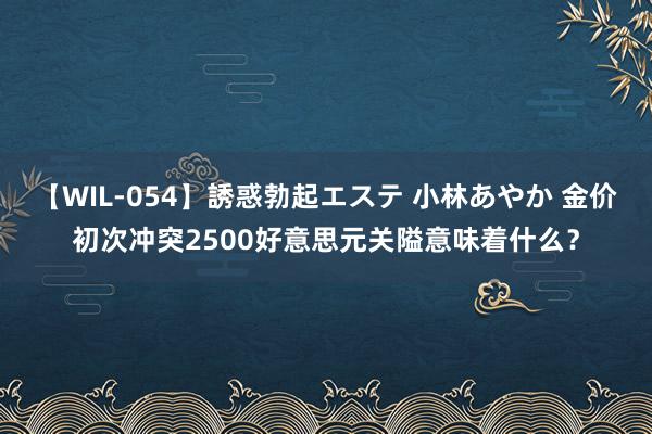 【WIL-054】誘惑勃起エステ 小林あやか 金价初次冲突2500好意思元关隘意味着什么？