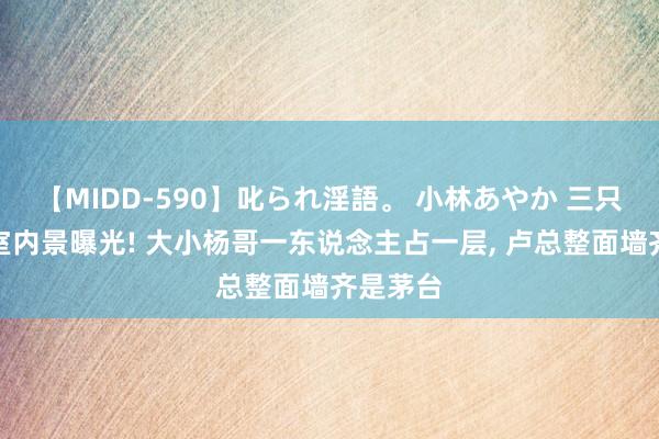 【MIDD-590】叱られ淫語。 小林あやか 三只羊办公室内景曝光! 大小杨哥一东说念主占一层， 卢总整面墙齐是茅台