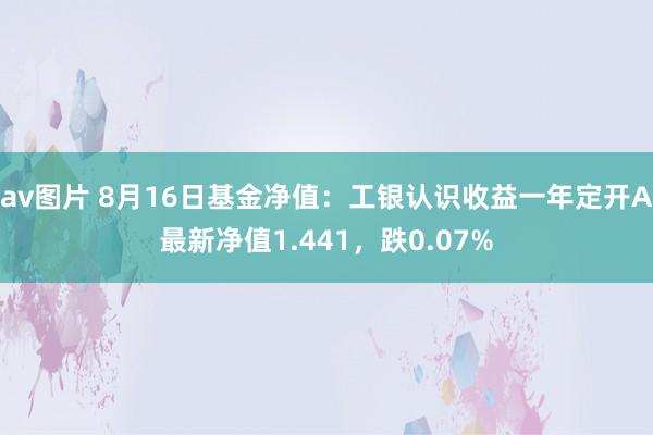 av图片 8月16日基金净值：工银认识收益一年定开A最新净值1.441，跌0.07%