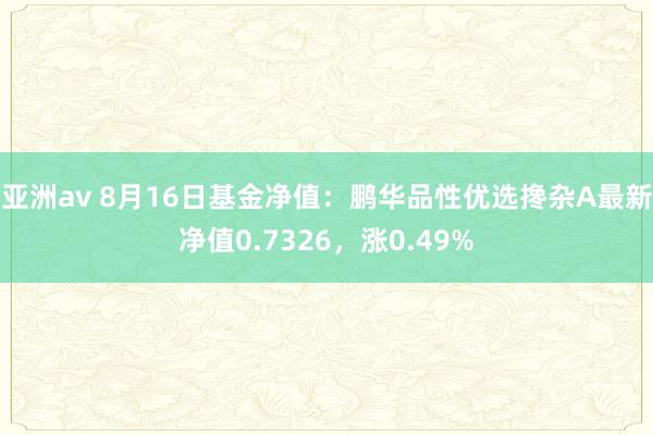 亚洲av 8月16日基金净值：鹏华品性优选搀杂A最新净值0.7326，涨0.49%