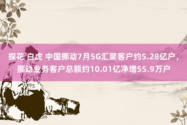 探花 白虎 中国挪动7月5G汇聚客户约5.28亿户，挪动业务客户总额约10.01亿净增55.9万户