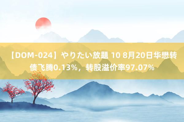 【DOM-024】やりたい放題 10 8月20日华懋转债飞腾0.13%，转股溢价率97.07%