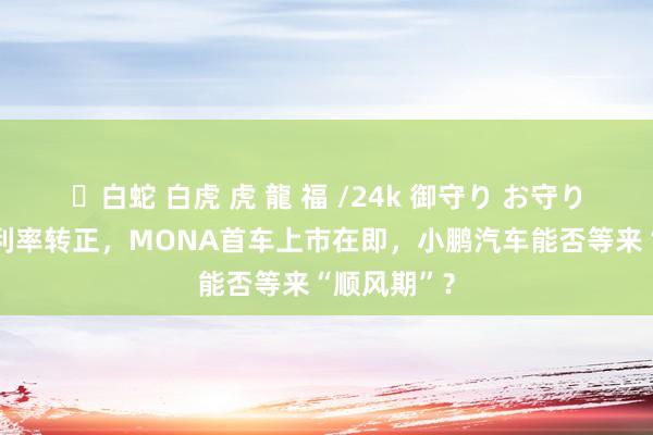 ✨白蛇 白虎 虎 龍 福 /24k 御守り お守り 上半年毛利率转正，MONA首车上市在即，小鹏汽车能否等来“顺风期”？