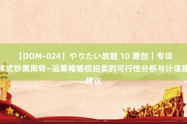 【DOM-024】やりたい放題 10 原创｜专项债样式钞票周转—运筹帷幄权拍卖的可行性分析与计谋建议