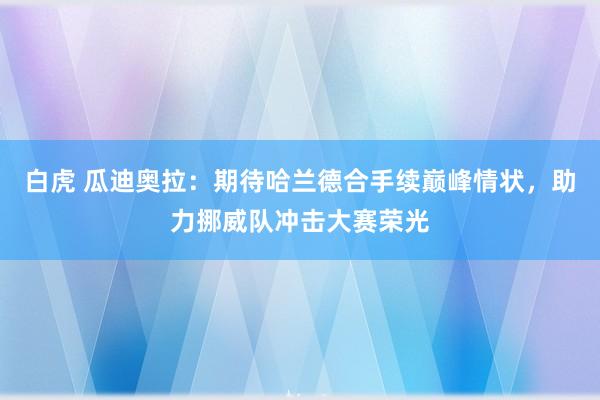 白虎 瓜迪奥拉：期待哈兰德合手续巅峰情状，助力挪威队冲击大赛荣光