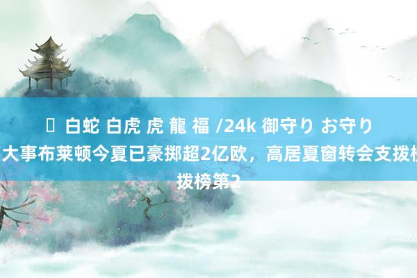 ✨白蛇 白虎 虎 龍 福 /24k 御守り お守り 要搞大事布莱顿今夏已豪掷超2亿欧，高居夏窗转会支拨榜第2