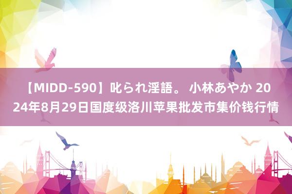 【MIDD-590】叱られ淫語。 小林あやか 2024年8月29日国度级洛川苹果批发市集价钱行情