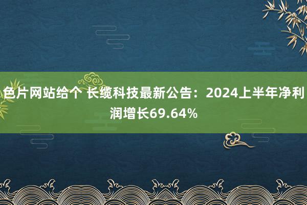 色片网站给个 长缆科技最新公告：2024上半年净利润增长69.64%