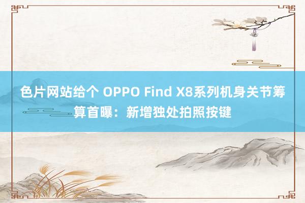 色片网站给个 OPPO Find X8系列机身关节筹算首曝：新增独处拍照按键