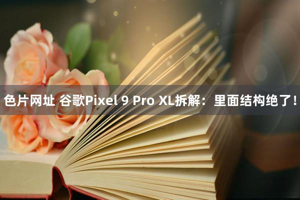 色片网址 谷歌Pixel 9 Pro XL拆解：里面结构绝了！