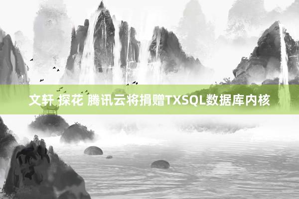 文轩 探花 腾讯云将捐赠TXSQL数据库内核