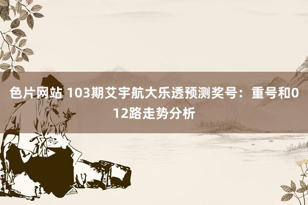 色片网站 103期艾宇航大乐透预测奖号：重号和012路走势分析