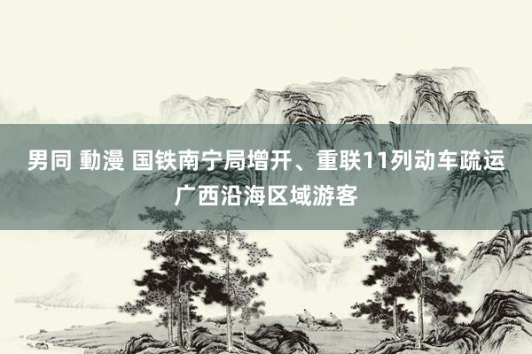 男同 動漫 国铁南宁局增开、重联11列动车疏运广西沿海区域游客