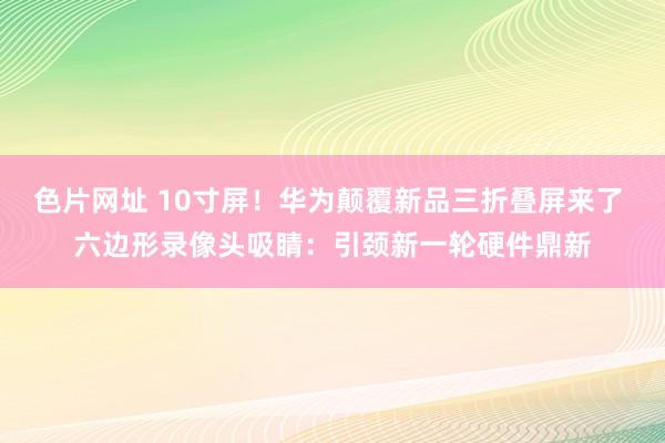 色片网址 10寸屏！华为颠覆新品三折叠屏来了 六边形录像头吸睛：引颈新一轮硬件鼎新