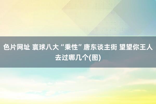 色片网址 寰球八大“秉性”唐东谈主街 望望你王人去过哪几个(图)