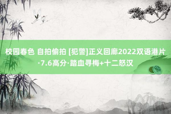 校园春色 自拍偷拍 [犯警]正义回廊2022双语港片·7.6高分·踏血寻梅+十二怒汉